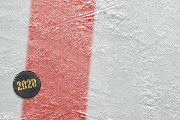 istock Ice hockey puck with red line 1255917215