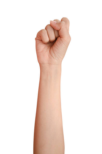 istock visible veins arm and hand isolated on a white background 1255920415