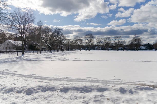 Winter day in Concord (Boston) after a snowstorm with trees in the background and a blue sky