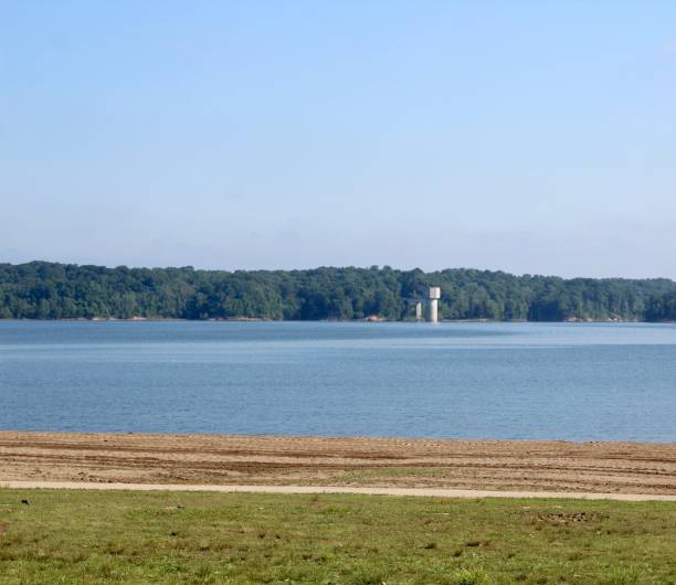 istock Beautiful View of the Lake Beach 1255925582