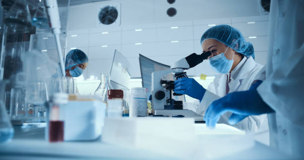 Multi ethnic team working with biohazardous samples. Asian female doctor using microscope Young team during virus lab tests. Multi ethnic scientists focused on work. Wearing protective workwear place of research stock pictures, royalty-free photos & images