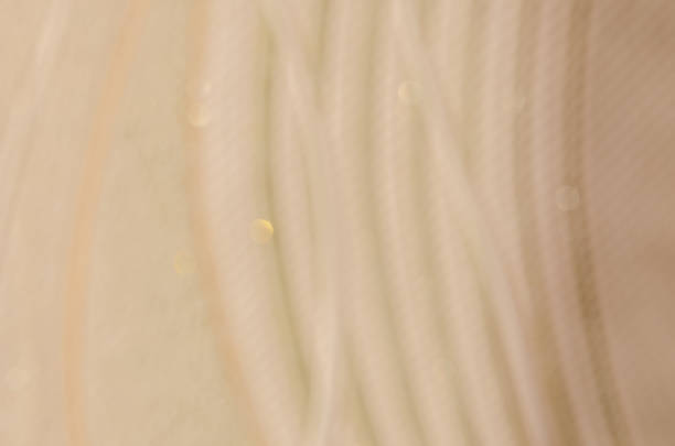 istock Defocus light background of wallpaper with stripes and sparkles. Texture wallpaper 1255933992