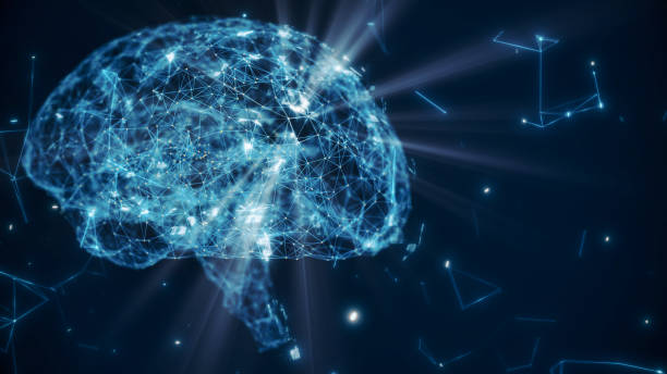 modèle cérébral avec neurone et récepteur - tronc cérébral photos et images de collection