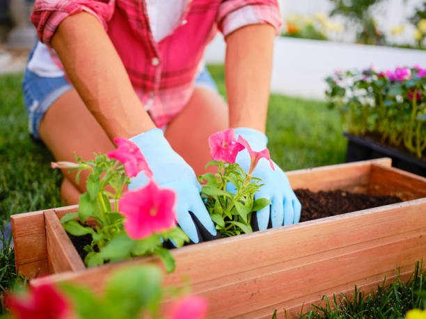 istock Young Woman in a Backyard Garden 1255935958