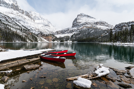 Red canoes parked in snowy valley at wooden pier. Lake O'hara, Yoho national park, Canada