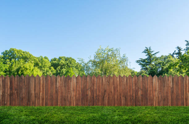 庭の木と草と木製の裏庭のフェンス - front or back yard ストックフォトと画像