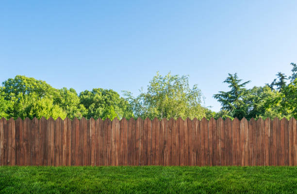 tree in garden and wooden backyard fence with grass stock photo