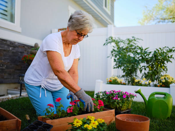 istock Senior Woman in a Backyard Garden 1255936115