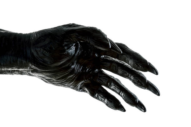 istock Creepy monster hand isolated on white background with clipping path 1255936807