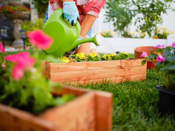 istock Young Woman in a Backyard Garden 1255937191