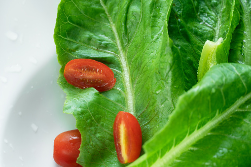 raw fresh green romaine lettuce and red tomato vegetable for healthy salad food meal or cusine on white background