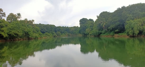 istock a view of meenachil river in kerala 1255940032