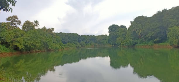 istock beautiful and clam meenachil river a view from kerala 1255940113