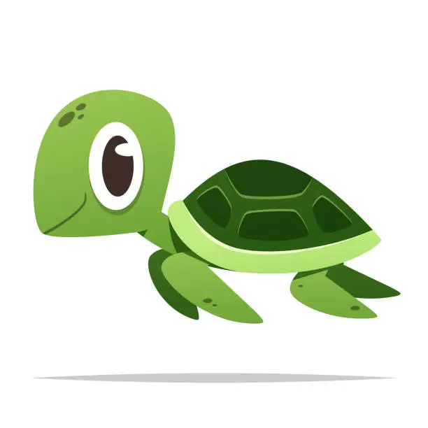 Vector illustration of Cartoon sea turtle vector isolated illustration