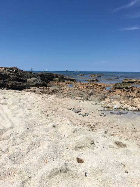istock White sand and rocks on a Mediterranean beach 1255941537