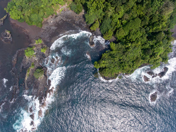 istock Waterfalls, Coast and Beaches in Equatorial Guinea 1255941643