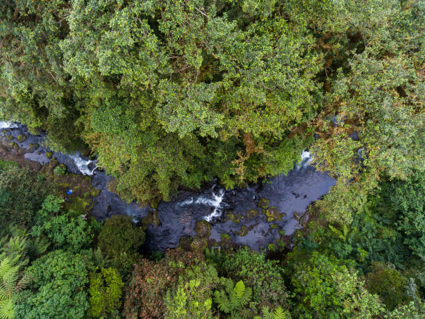 istock Waterfalls, Coast and Beaches in Equatorial Guinea 1255941685