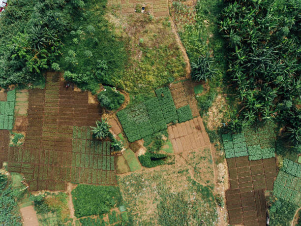 farm fields in nigeria von oben betrachtet - nigeria stock-fotos und bilder