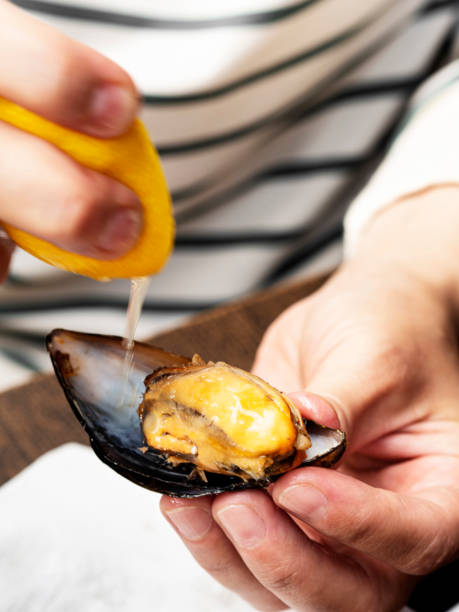 istock Stuffed mussels, Turkish style stuffed mussels, Midye Dolma 1255943450