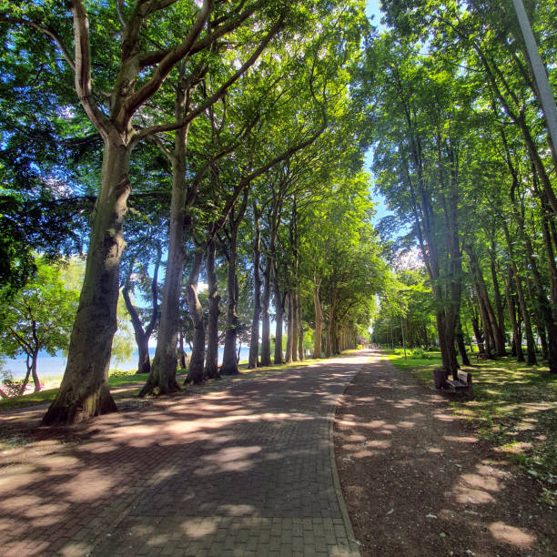 istock Seaside promenade and bike path 1255944893