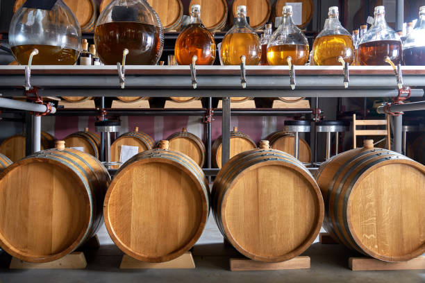 Whiskey barrels in cellar stock photo