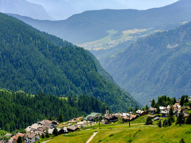 Chamois, a mountain village in the Aosta Valley, which can be reached by cable car. Alpine chain seen from the village of Chamois, on a sunny day in summer. chamois animal photos stock pictures, royalty-free photos & images