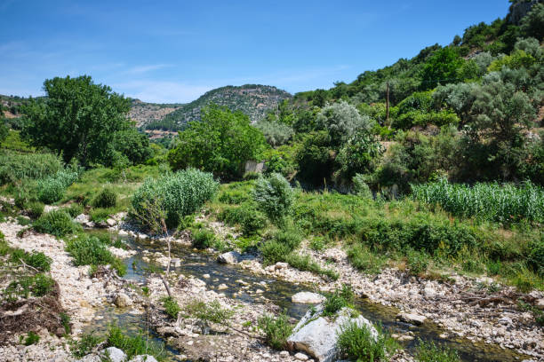 istock Pantalica Nature Park, Sicily Italy 1255950715