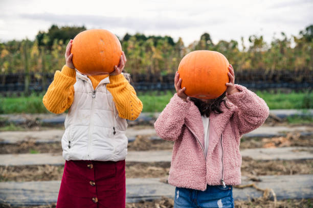 teste di zucca! - pumpkin child little girls pumpkin patch foto e immagini stock