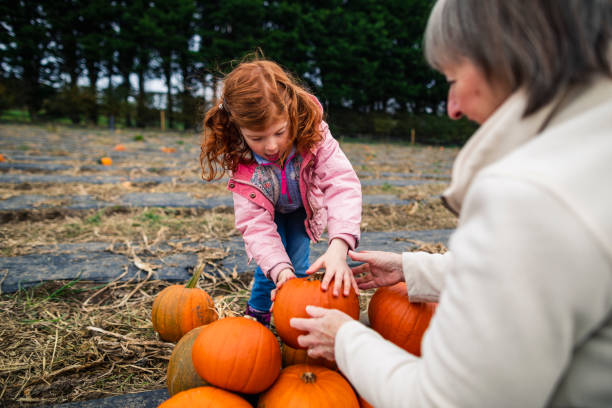 quale dovremmo scegliere? - pumpkin child little girls pumpkin patch foto e immagini stock