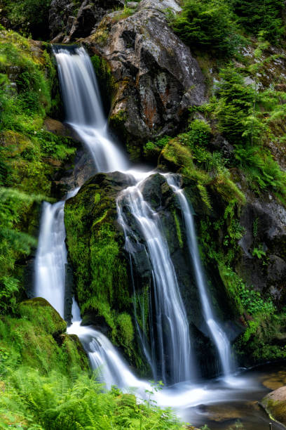 widok na wodospady w tribergu w regionie schwarzwaldu w niemczech w lecie - black forest waterfall triberg landscape zdjęcia i obrazy z banku zdjęć