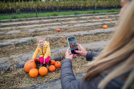 Family pumpkin picking at a farm in Autumn dressed in warm clothes getting ready for halloween. A young girl is sitting on the floor with pumpkins around her while an unrecognisable person takes a picture.