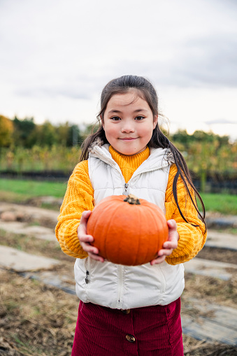 Young girl pumpkin picking at a farm in Autumn dressed in warm clothes getting ready for halloween. She is holding a pumpkin and looking at the camera.