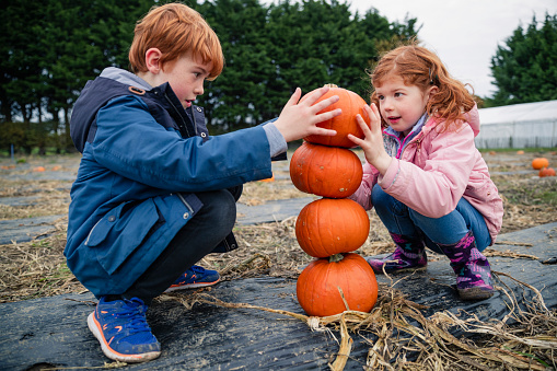 Siblings at a pumpkin picking at a farm in Autumn dressed in warm clothes getting ready for halloween. They are stacking up pumpkins together crouched on the floor.