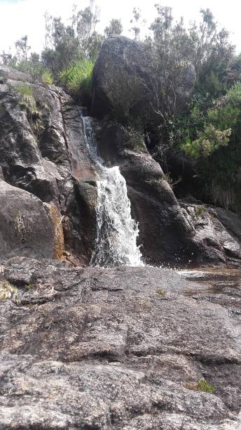 istock The waterfowl in the mountain 1255956615