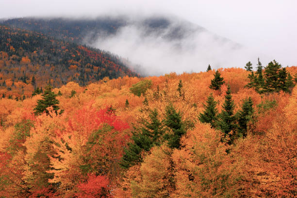 istock Franconia Notch, New Hampshire 1255960802