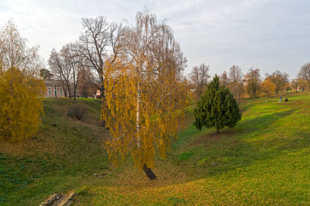 istock Autumn in the park. 1255962272