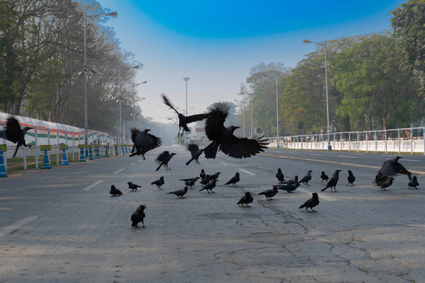 istock Red Road, Kolkata, India 1255962779