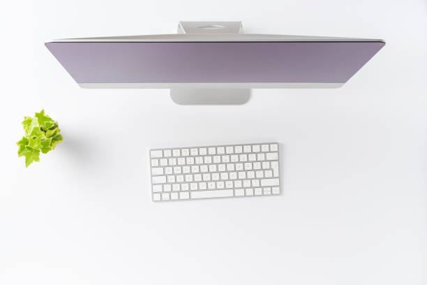 istock Office desktop concept. Computer monitor, keyboard and small flower on white background with copyspace. Top view 1255965538