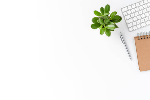 istock Modern office desktop with keyboard, notebook, pen and small succulent. Business background with copyspace 1255965709