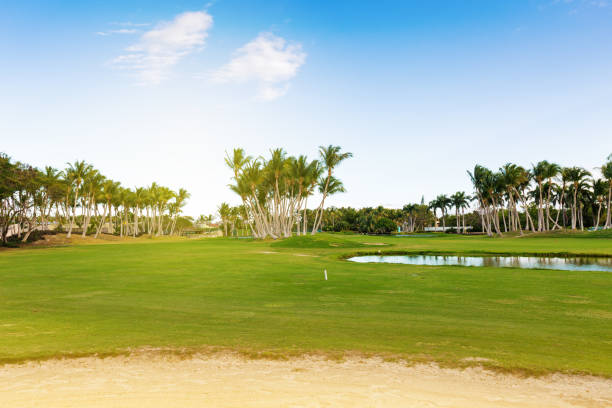 istock Green golf  course fairway at sunny day, nobody 1255966804