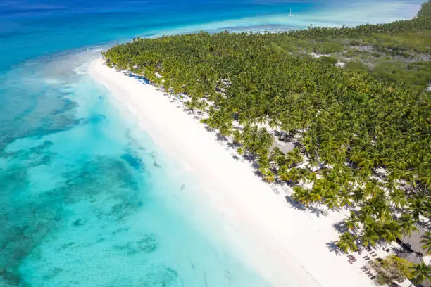 Saona Island. Aerial view on tropical island with coconut palm trees and turquoise caribbean sea. Summer vacation. Travel destination. Dominican Republic