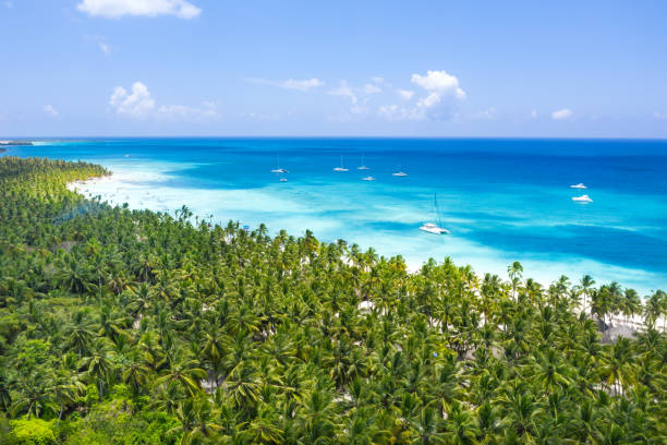 カリブ海に浮かぶココナッツヤシの木とスピードボートと熱帯の島のドローンからの空中写真 - cruise speed ストックフォトと画像