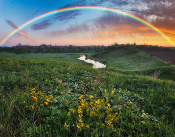 istock Rainbow over the meadow. picturesque spring morning 1255967994
