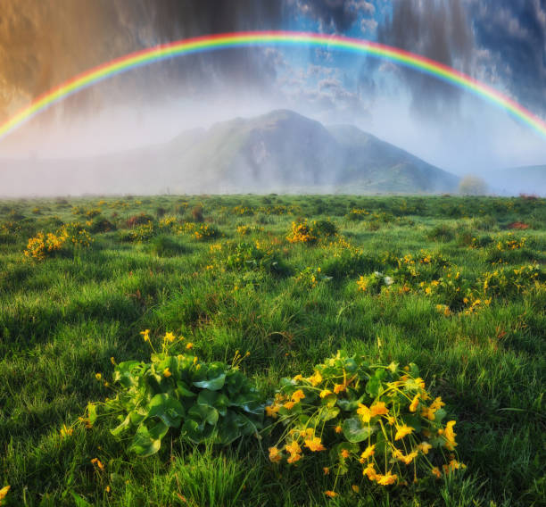 istock Rainbow over the meadow. picturesque spring morning 1255967995