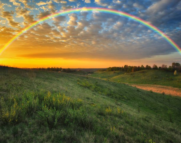 istock Rainbow over the meadow. picturesque spring morning 1255968003
