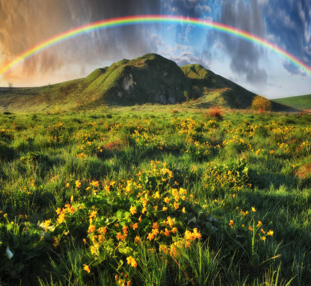 istock Rainbow over the meadow. picturesque spring morning 1255968018