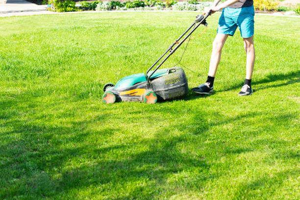 istock young man mows the lawn 1255968634