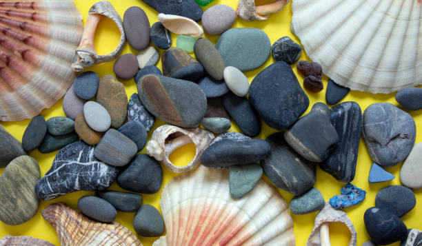 istock Sea stones and seashells. Beautiful yellow background. Concept. 1255969535