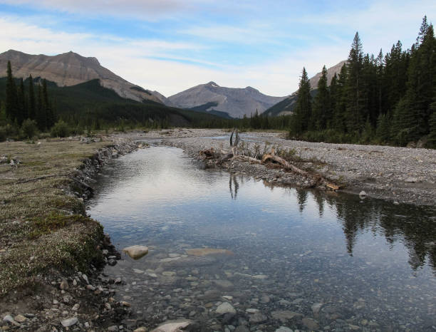 istock Kananaskis Country 1255970926