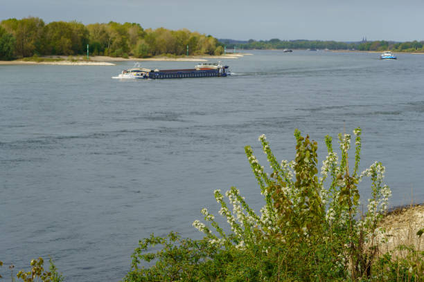 istock the rhine river near wesel in germany 1255971403